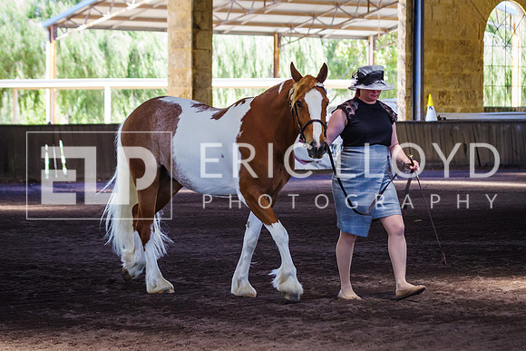 ELP_0947