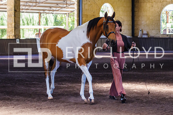 ELP_0955