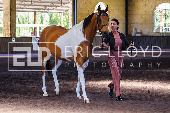 ELP_0956