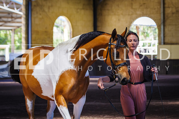 ELP_0958