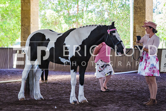 ELP_0965