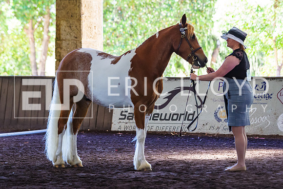 ELP_0967
