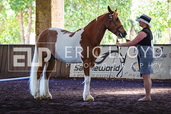 ELP_0968