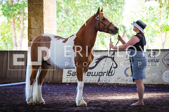 ELP_0971
