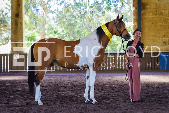 ELP_0998
