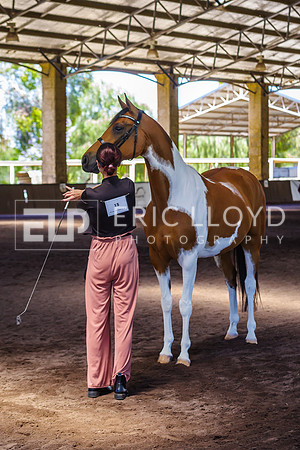 ELP_1030