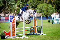 25B. Hanson Property Group 95cm JWA Foundation Open Series AM5