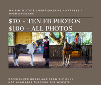 State Pinto Championships