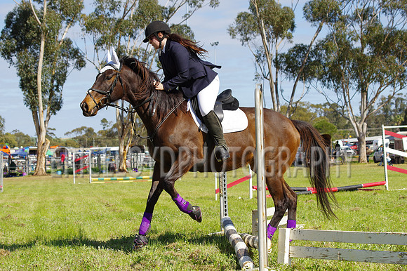 Bev Ag 2014-5153