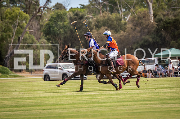 ROYL3782