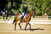 Competitor Novice 2B- Horse