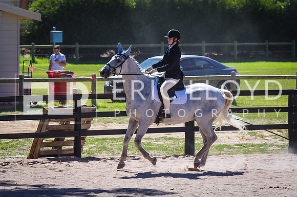 ERIC0394