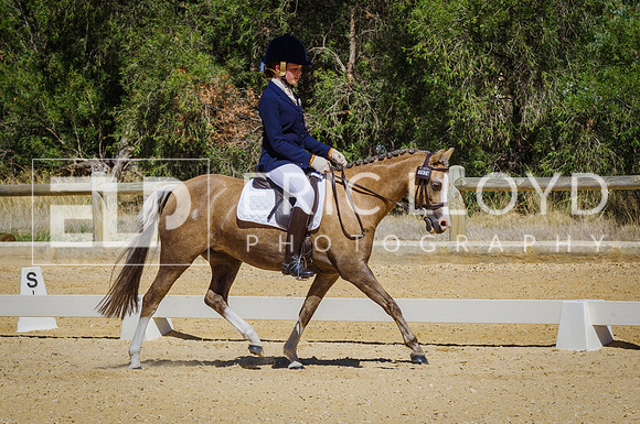 ERIC0424
