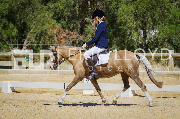 ERIC0433
