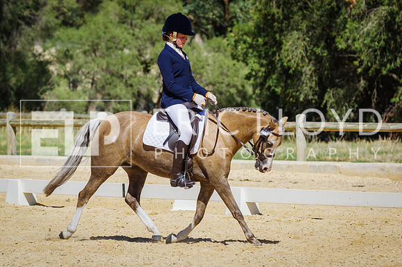 ERIC0465