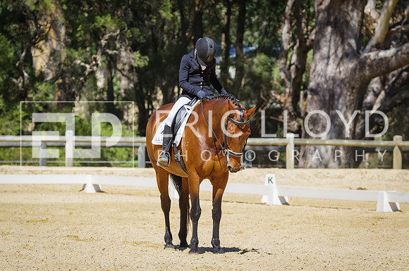 ERIC0488