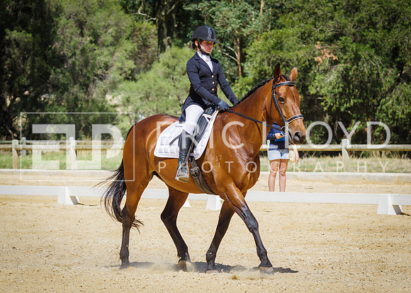 ERIC0492