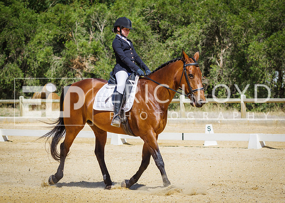 ERIC0493