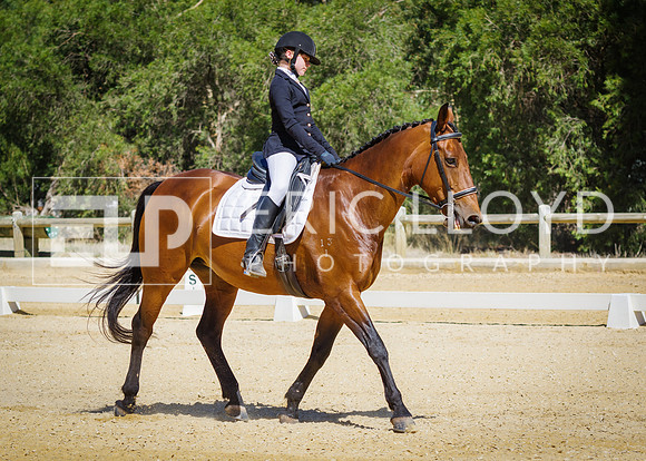 ERIC0494
