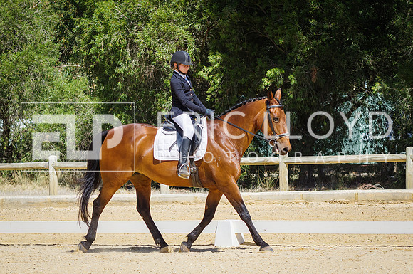 ERIC0501