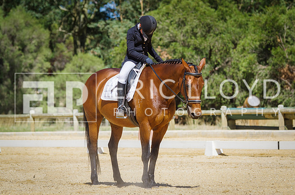 ERIC0561