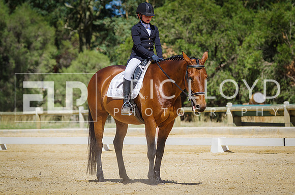 ERIC0562