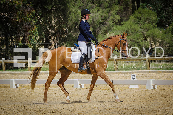 ERIC0738