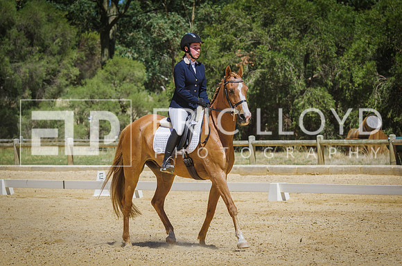 ERIC0782
