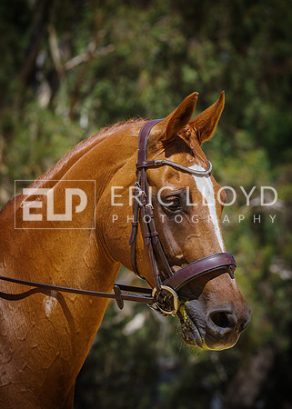ERIC0789