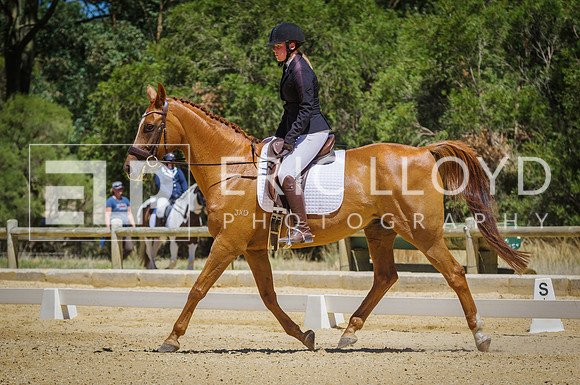 ERIC0803