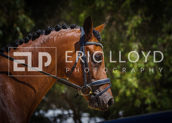 ERIC0829