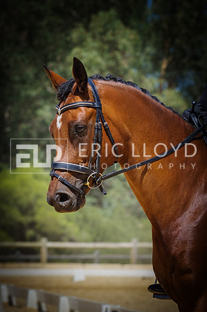 ERIC0835