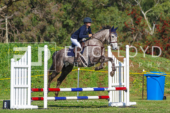IMGP0228