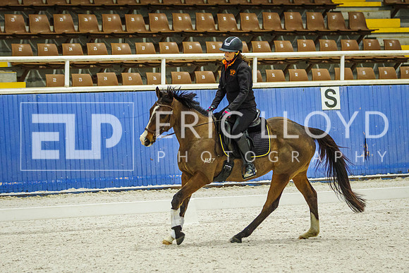 IMGP7056