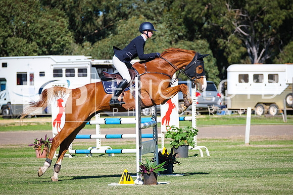 DSCF3352