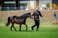DSCF2781