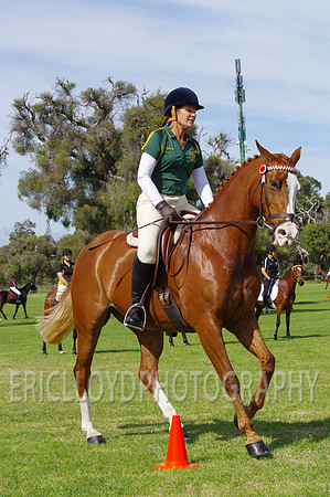 ARCA WH 2014-6541