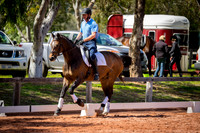 Swan Valley Dressage Association Training Day 17/09/2016