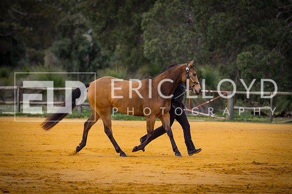 untitled-0106-2
