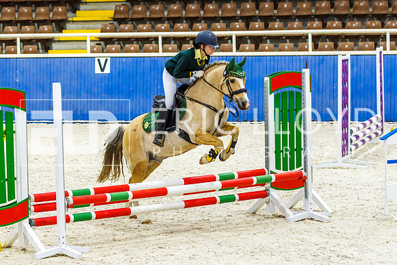 IMGP1458