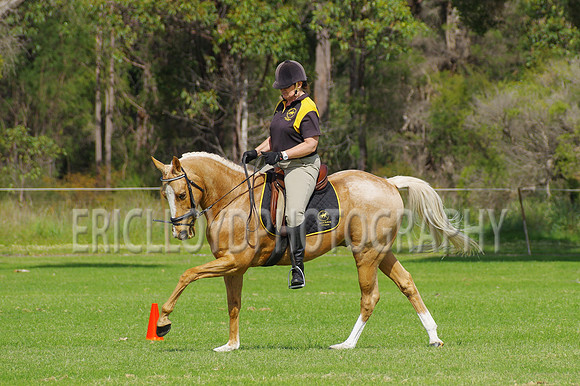 ARCA WH 2014-6547