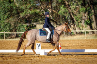 IMGP0209