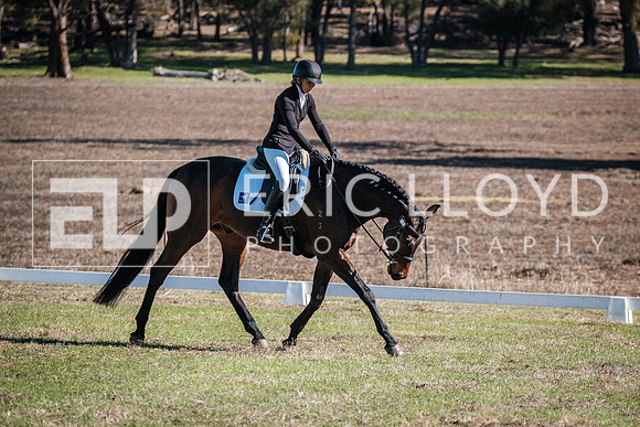 DSCF1616