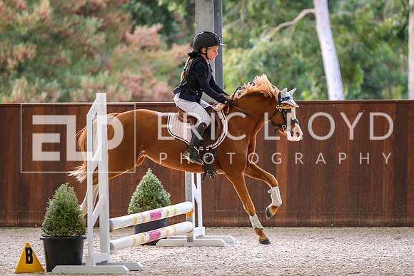 DSCF7769