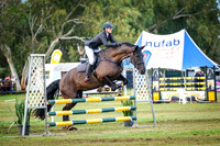 DSCF0317