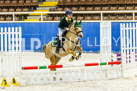 IMGP1456