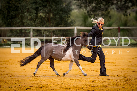 untitled-0668