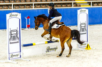 IMGP1382