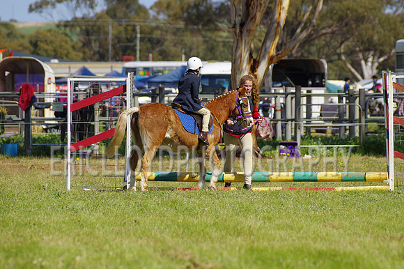 Bev Ag 2014-5164