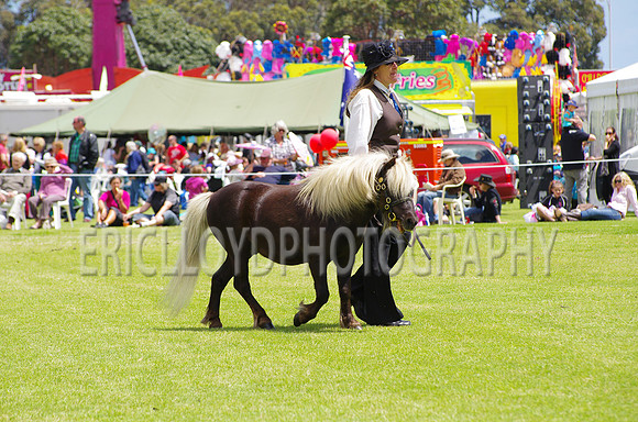 Jess-3809